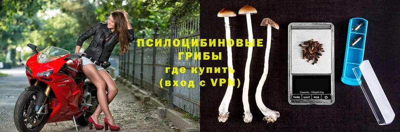 Псилоцибиновые грибы Magic Shrooms  нарко площадка формула  Чишмы 